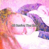 46 Revive the Bed