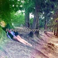 37 Inspiring Storm Tracks