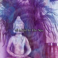 43 Mind In The Spa