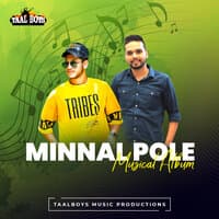 Minnal Pole