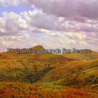 79 Calming Sounds For Peace