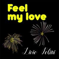 Feel My Love