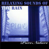 Relaxing Sounds of the Rain, Interiors