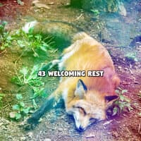 43 Welcoming Rest