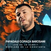 Papagalii copiaza barosanii