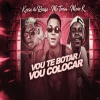 Vou Te Botar / Vou Colocar  (Brega Funk)