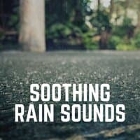 Soothing Rain Sounds