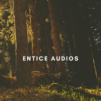 Entice Audios