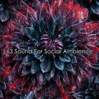 63 Sound for Social Ambience