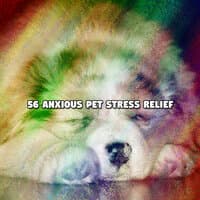 56 Anxious Pet Stress Relief