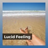 Lucid Feeling