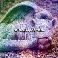 57 Feeling Dog Tired