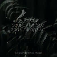 35 Restful Sounds for Spa and Chilling Out