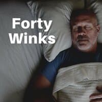 Forty Winks