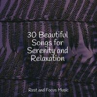 30 Beautiful Songs for Serenity and Relaxation