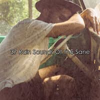 37 Rain Sounds of the Sane