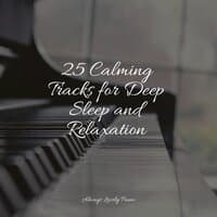 25 Calming Tracks for Deep Sleep and Relaxation