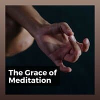 The Grace of Meditation