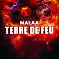 Terre de feu