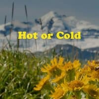 Hot or Cold