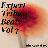 Expert Tribute Beatz Vol 7