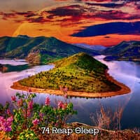 74 Reap Sleep