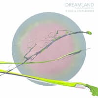 Dreamland - Thoughts About You