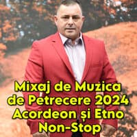 Mixaj de Muzica de Petrecere 2024 Acordeon și Etno Non-Stop