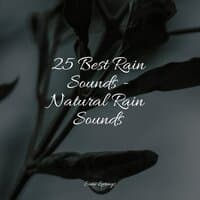 25 Best Rain Sounds - Natural Rain Sounds