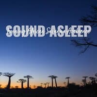 Sound Asleep: Evening African Savanna Ambience