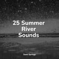 25 Summer River Sounds