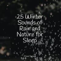 25 Winter Sounds of Rain and Nature for Sleep