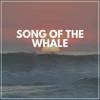 Song of the Whale