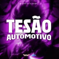 Tesão Automotivo