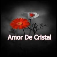 Amor De Cristal