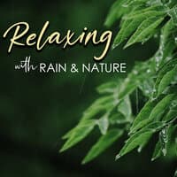 Relaxing with Rain and Nature