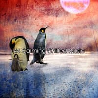 46 Calming Chilled Music