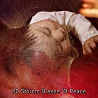 30 Storms Breeze Of Peace