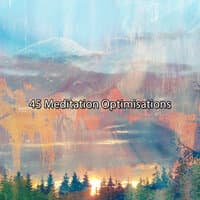 45 Meditation Optimisations