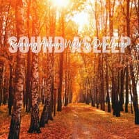 Sound Asleep: Relaxing Autumn Walk on Dry Leaves