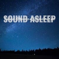 Sound Asleep: Natural Ambience at Yellowstone Lake