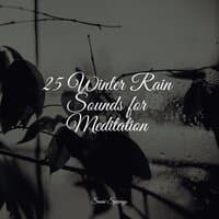 25 Winter Rain Sounds for Meditation