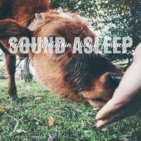 Sound Asleep: Relaxing Mountain Wildlife Ambience