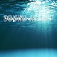 Sound Asleep: Peaceful Underwater Ambience