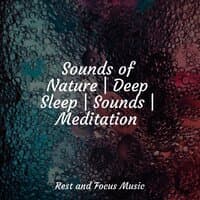 Sounds of Nature | Deep Sleep | Sounds | Meditation