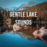 1 Hour of Gentle Lake Sounds to Calm Down and Relax