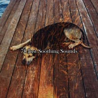 70 Just Soothing Sounds