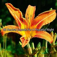 46 Neutral Sounds for a Peaceful Night