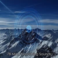 78 Mind Nourishing Sounds