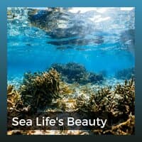 Sea Life's Beauty